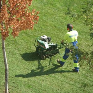 Lawn Aerator