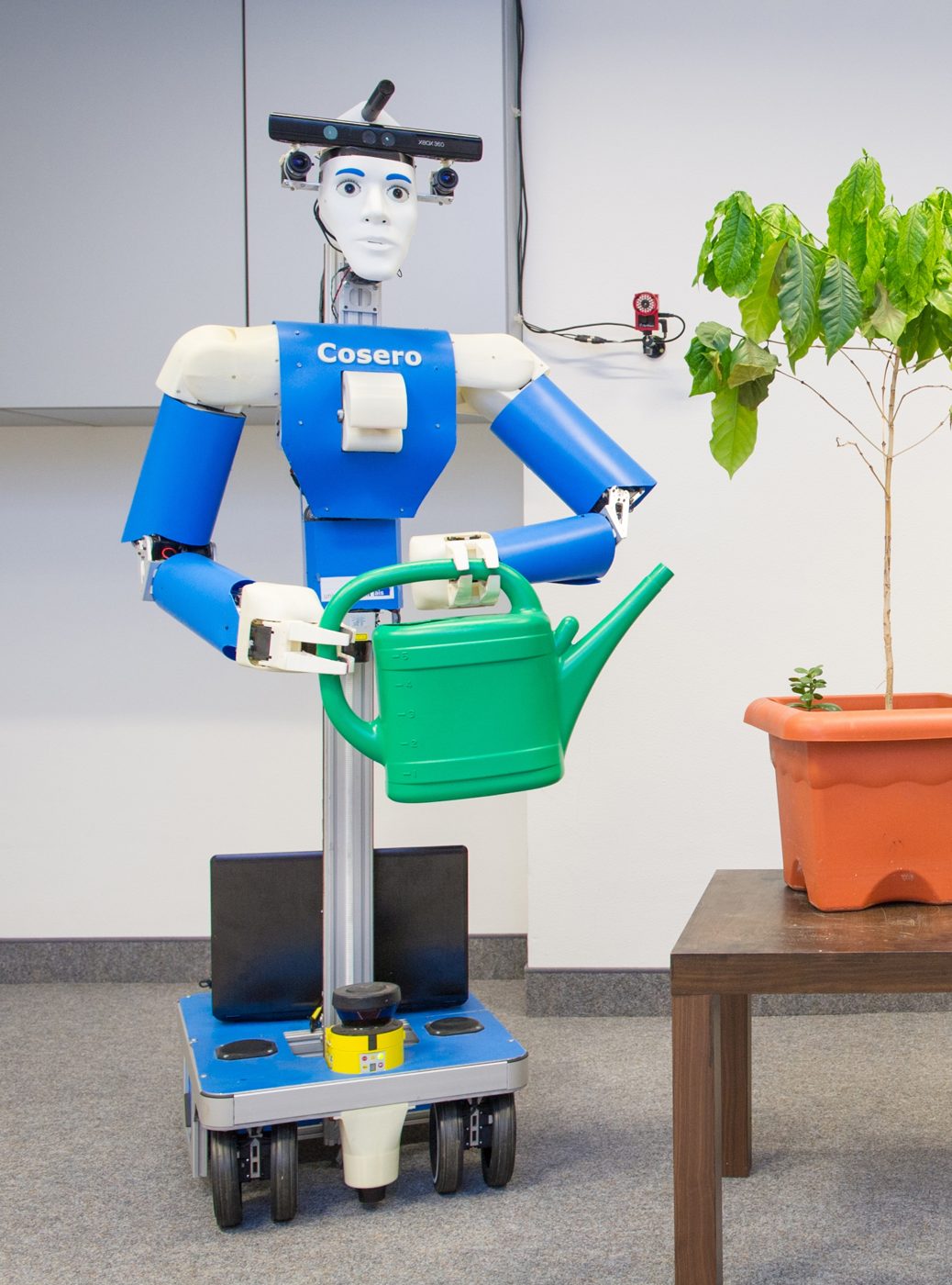 Service Robots