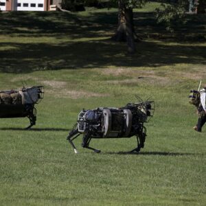 Quadruped Robots
