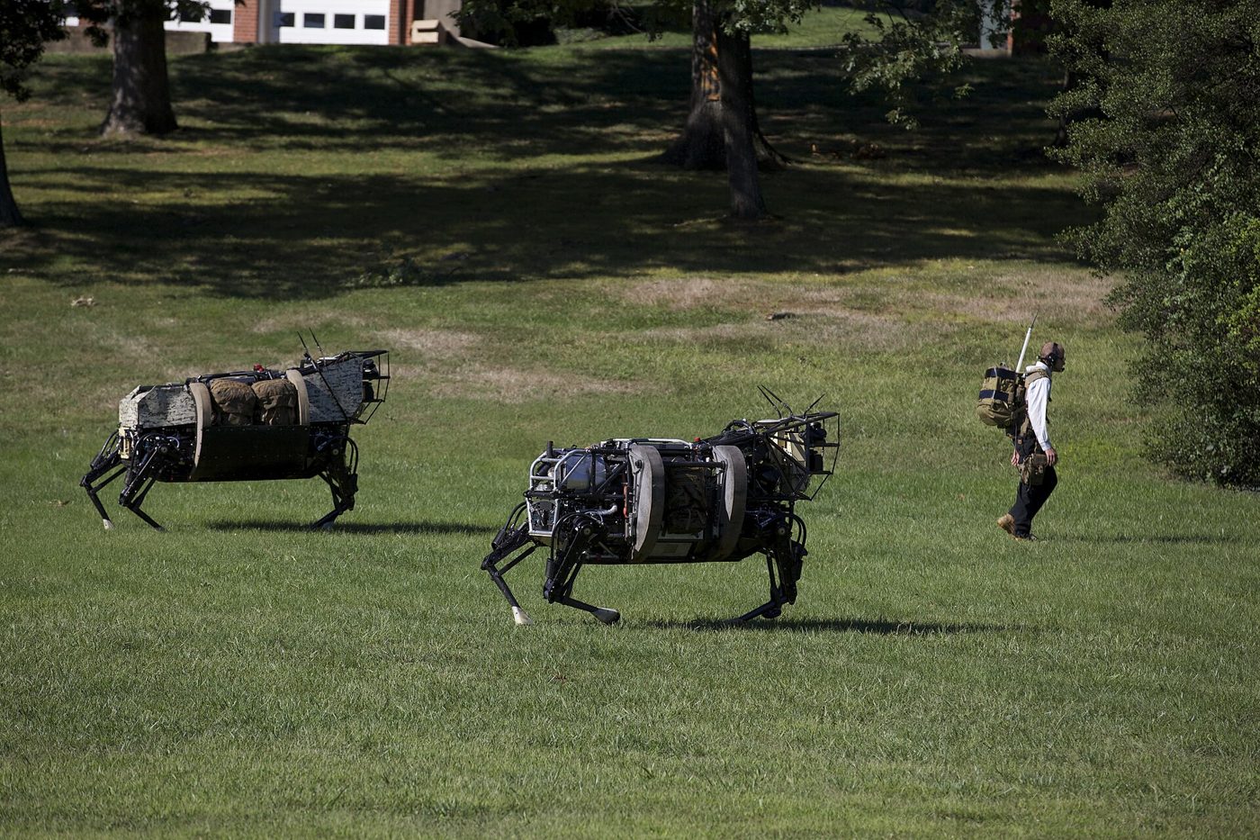 Quadruped Robots
