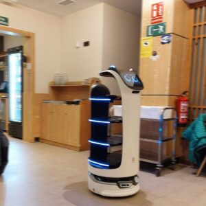 Service Robots