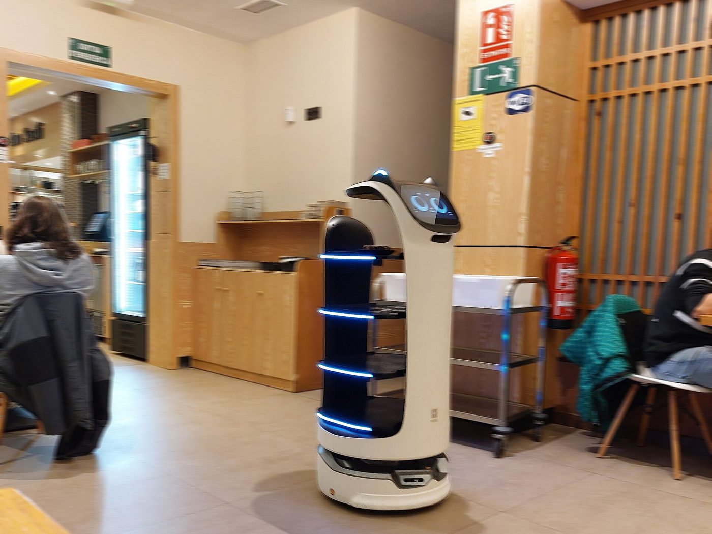 Service Robots