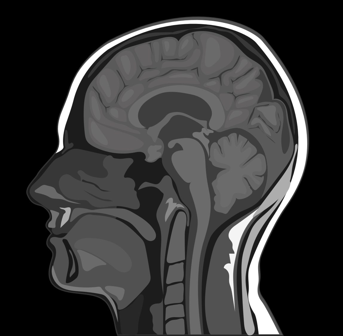 Medical Imaging Equipment