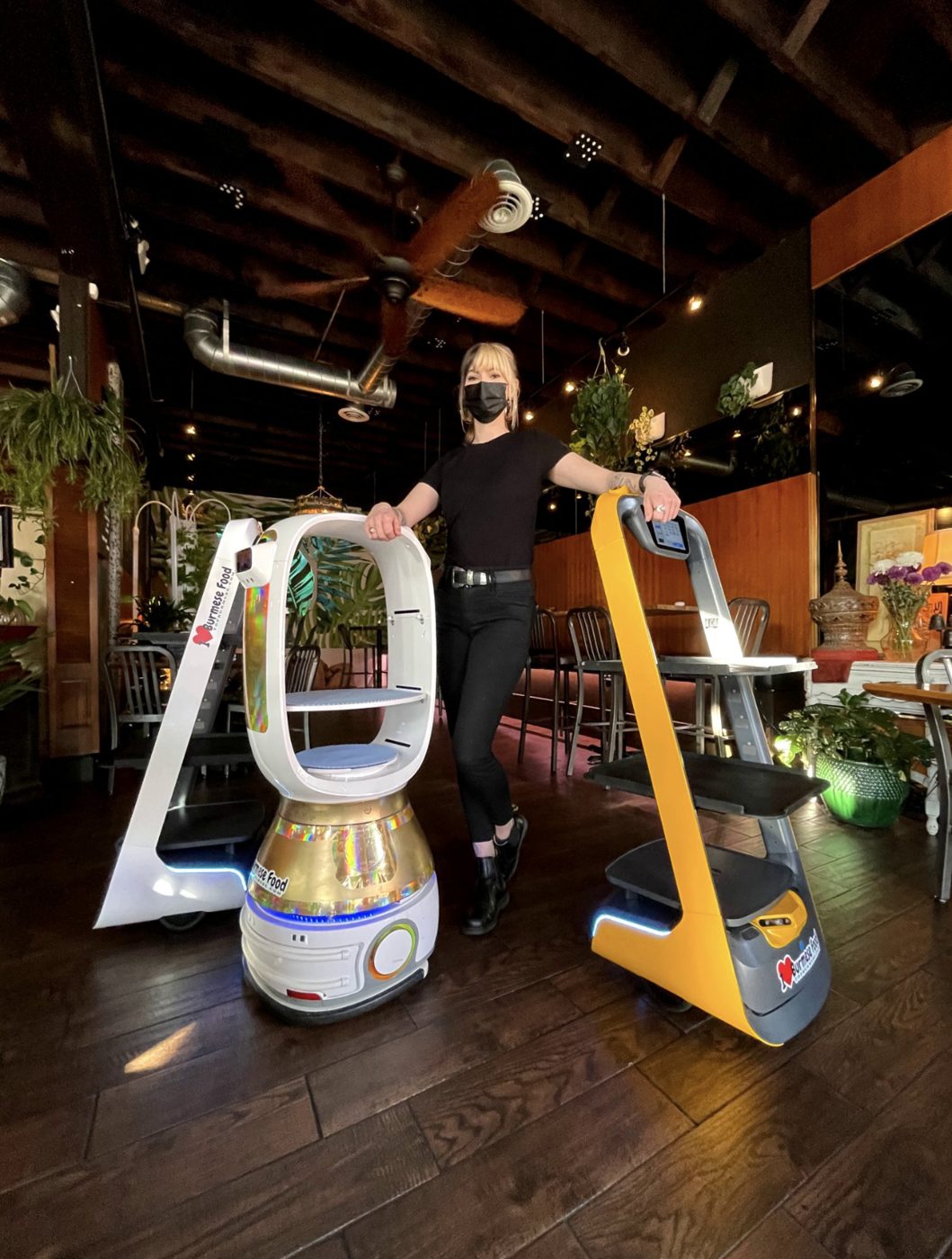 Service Robots