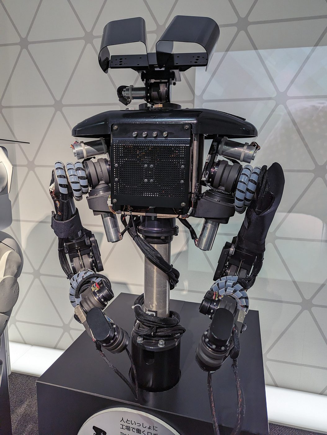 Humanoid Robots