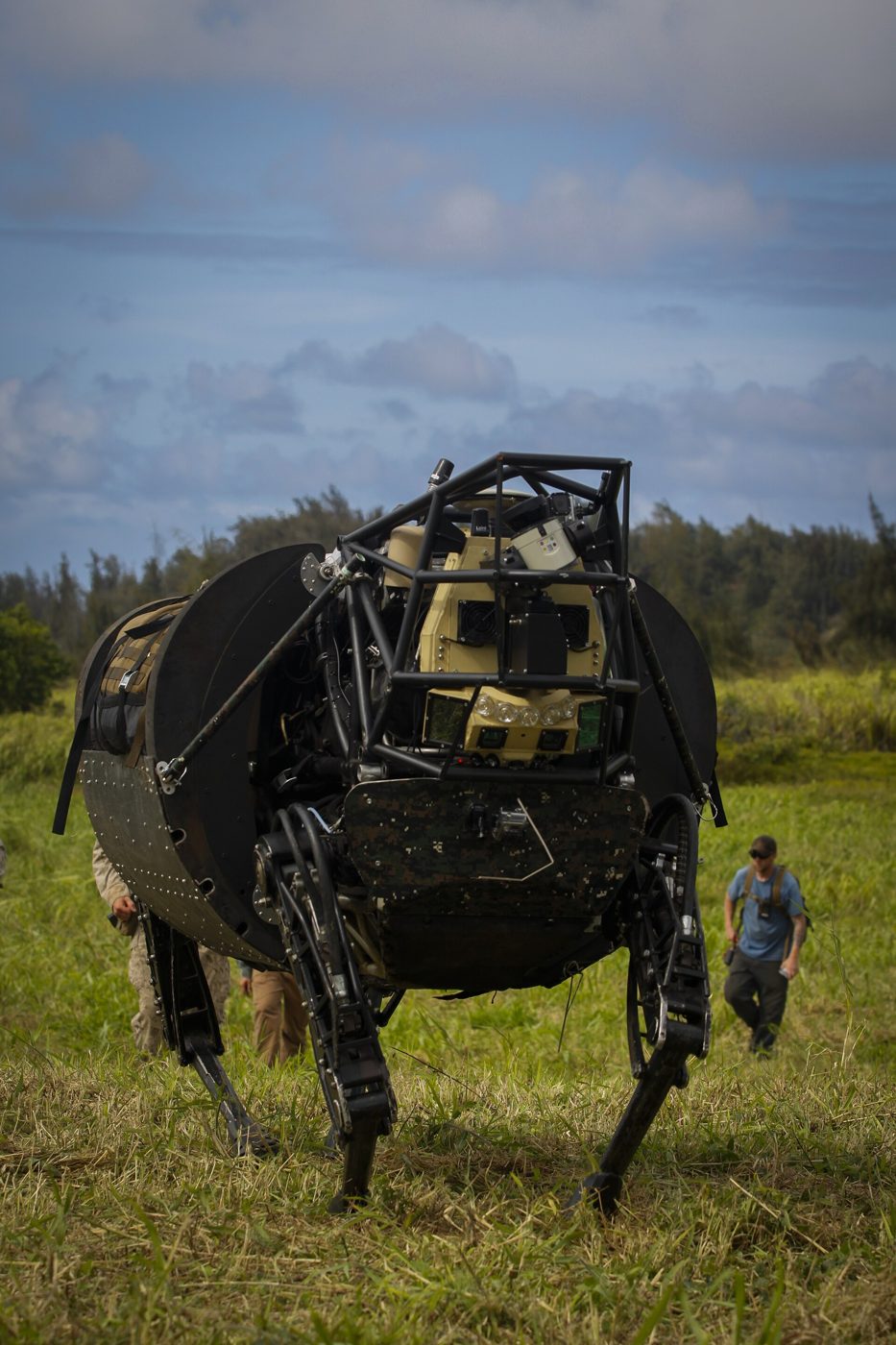 Quadruped Robots