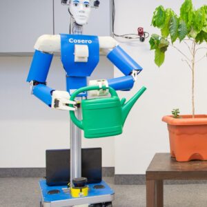 Humanoid Robots