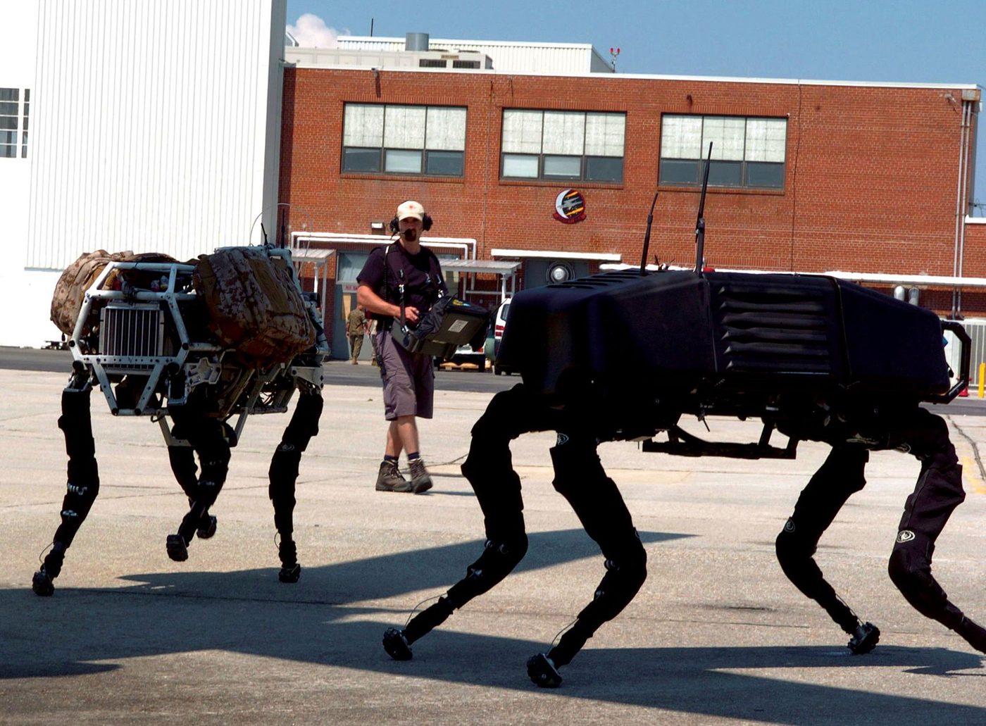 Quadruped Robots