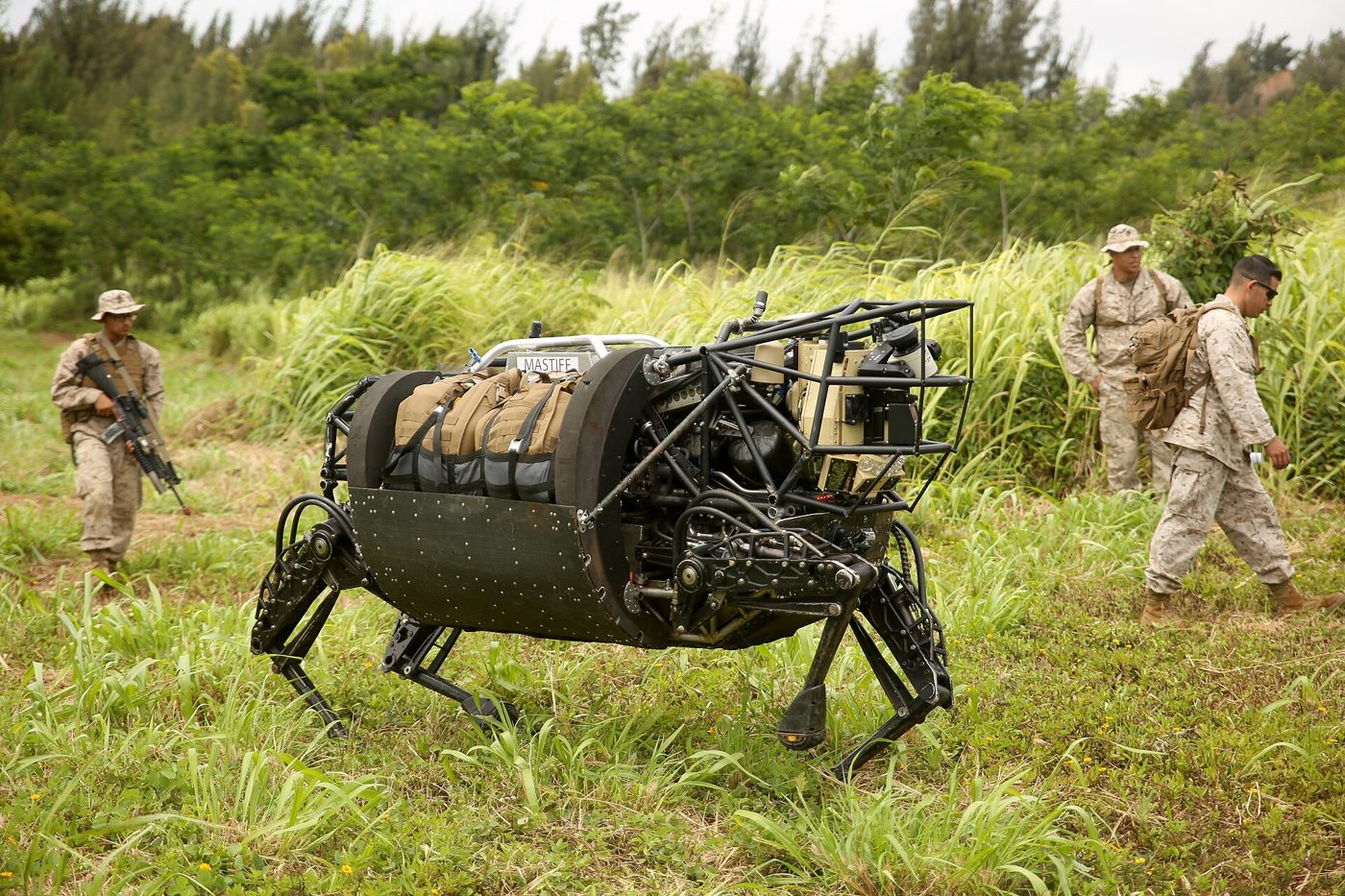 Quadruped Robots