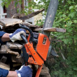 Professional Chainsaw