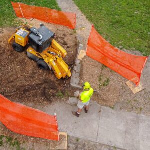 Stump Grinder